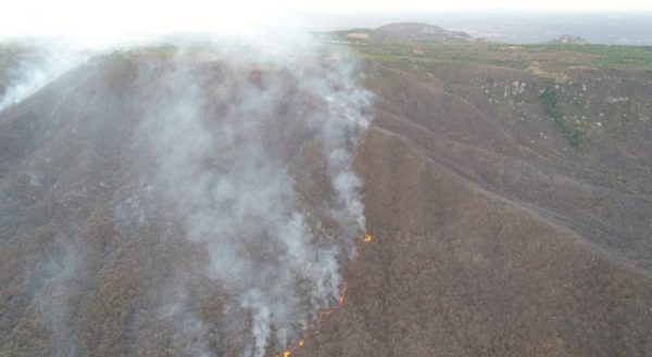Casos de incêndios ambientais crescem 31% no RN em 2019