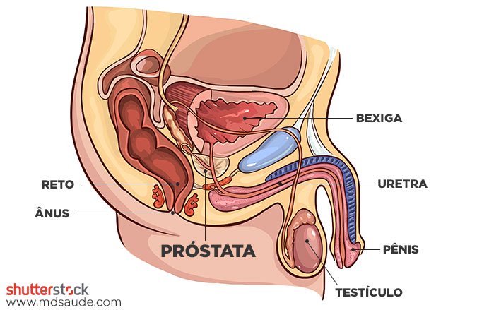 Urologista fala sobre o diagnóstico precoce do câncer de próstata