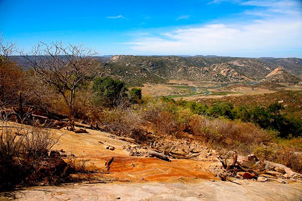 IDEMA Propõe Criação de Refúgio de Vida Silvestre para Conservação da Caatinga