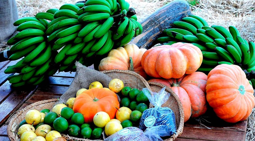 Governo do RN, em parceria com a União, realiza compra de alimentos da agricultura familiar