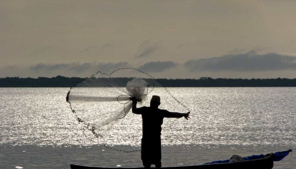 Carteira de Pesca: Suspensas 1.028 licenças de pescadores profissionais Artesanais