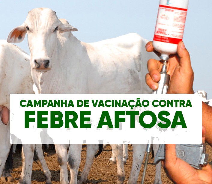 Secretaria de Agricultura informa que foi prorrogado para o próximo sábado (17) o término da segunda etapa da campanha de vacinação contra a febre aftosa
