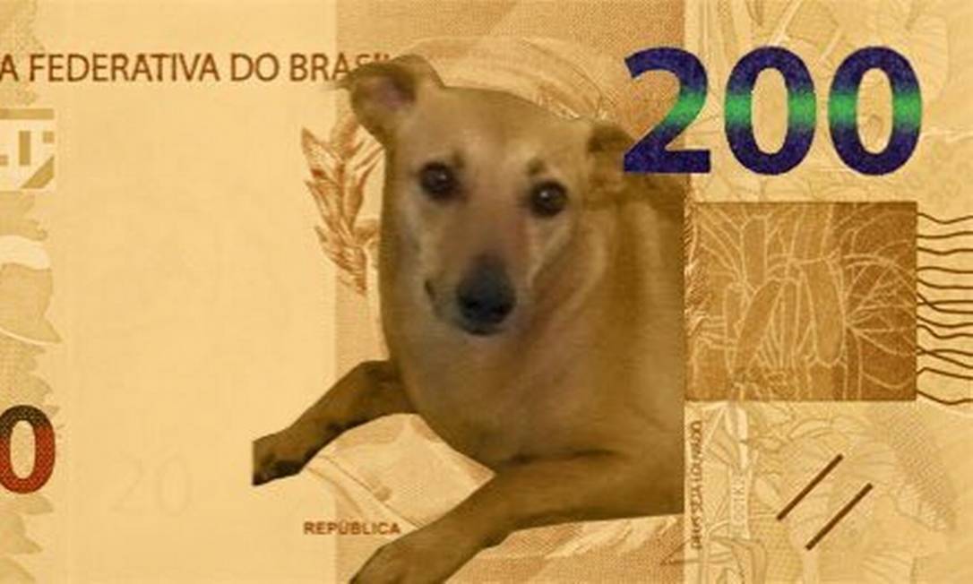 EM AGOSTO: Banco Central lançará cédula de 200 reais com imagem de lobo-guará
