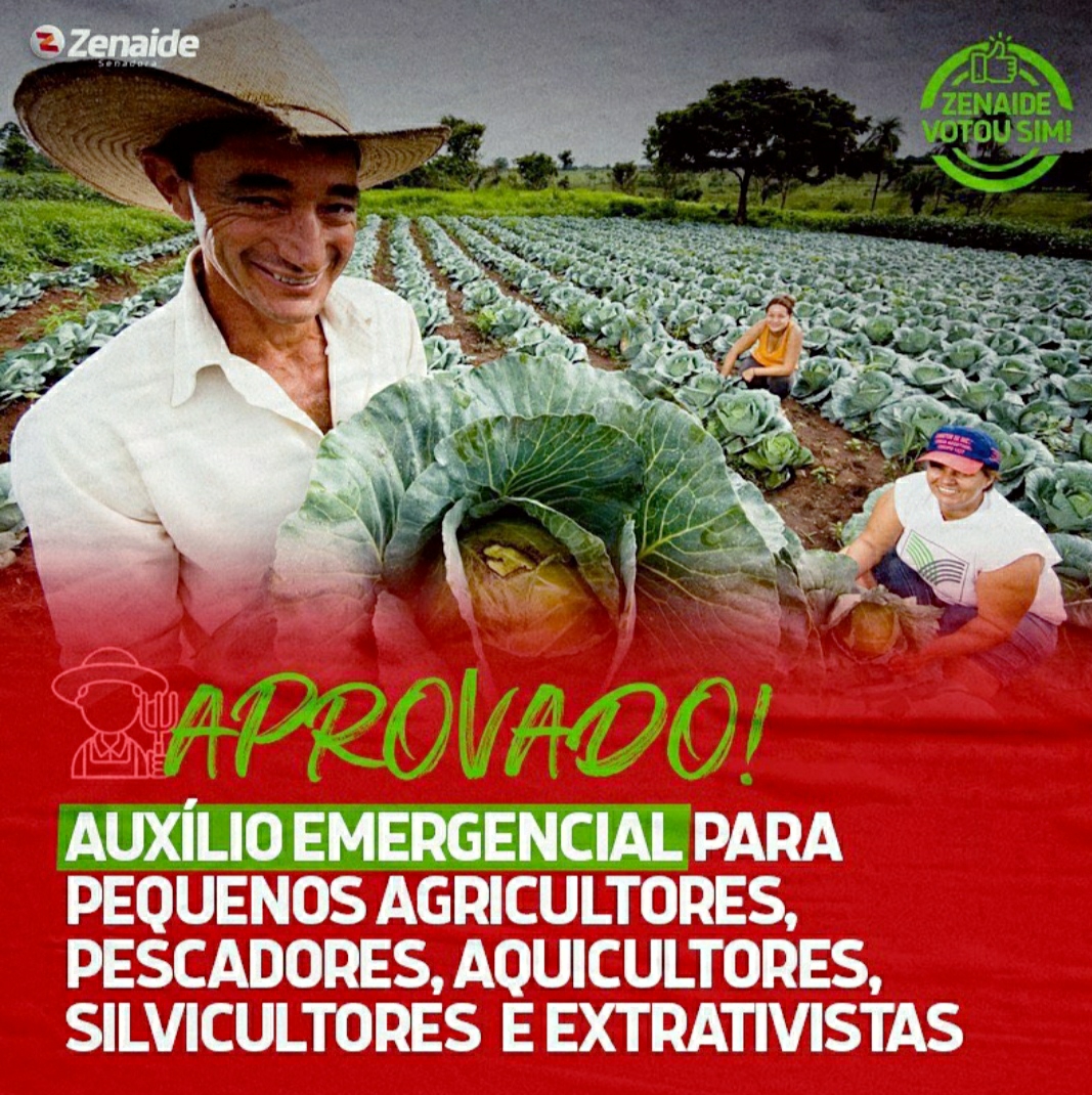 Zenaide comemora aprovação de auxílio emergencial a pequenos agricultores, pescadores, silvicultores, aquicultores e extrativistas