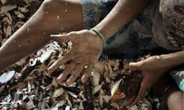 Nota: MPT alerta que trabalho infantil viola direitos humanos e impede progresso social e econômico