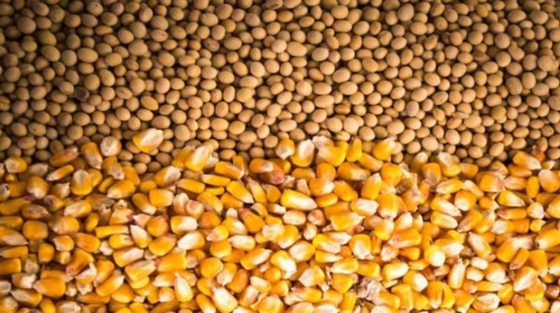 Para conter alta de preços, governo decide zerar imposto de importação de soja e milho