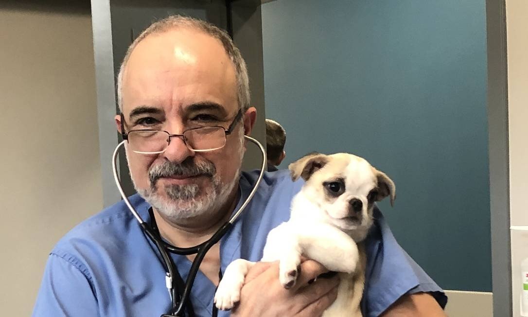 Cães e gatos pegam, mas não transmitem Covid-19, diz veterinário brasileiro nos EUA