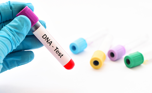 Estado deve custear exames de DNA em processos de pessoas com baixa renda