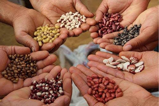 Governo reúne secretários de agricultura do RN para debater sobre sementes crioulas