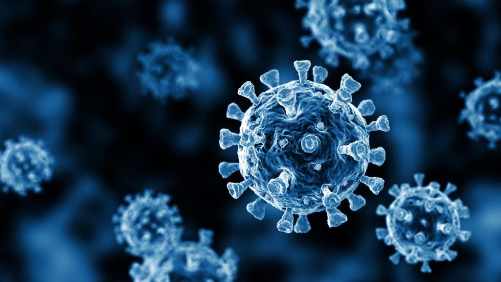 Covid-19: Cientistas descobrem método que impede totalmente a infecção pelo vírus