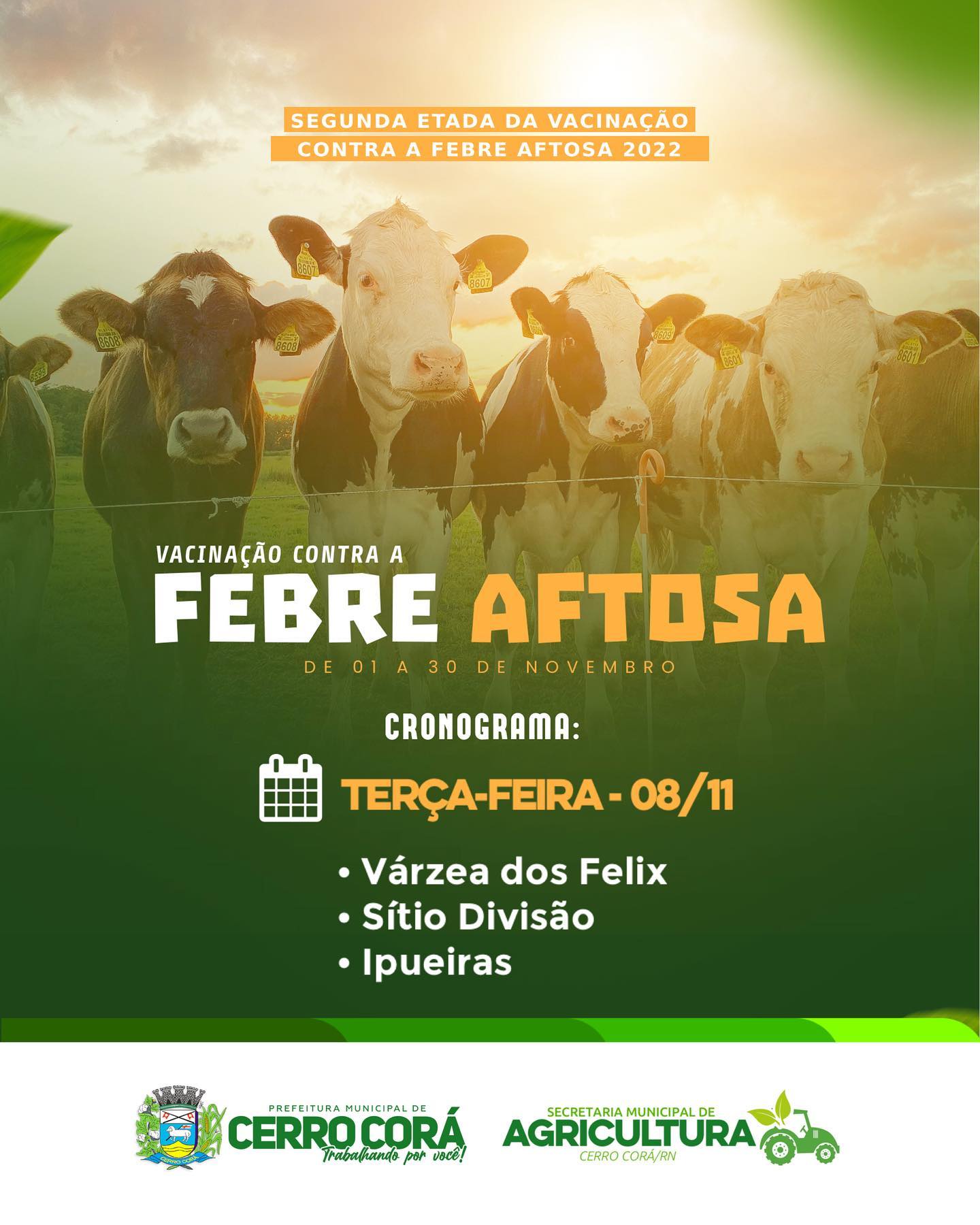 Prefeitura de Cerro Corá inicia campanha de vacinação contra Aftosa (Confira agenda da semana)