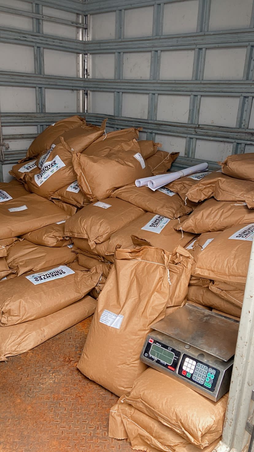 Famílias agricultoras potiguares receberão 27 mil kg de sementes crioulas e 12 mil de algodão