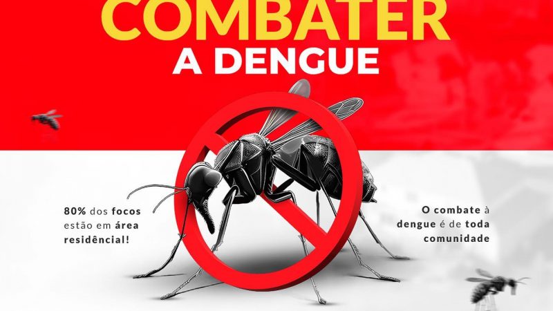Brasil tem mais de um milhão de casos de dengue este ano