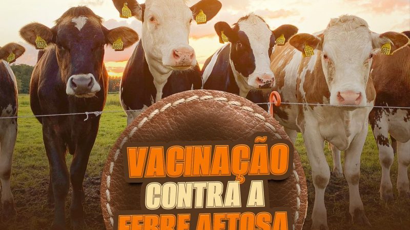 Cerro Corá: Confira o cronograma da Vacinação contra a Febre Aftosa