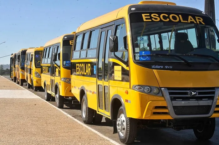 Ministério pede ônibus gratuito para eleição de conselheiros tutelares