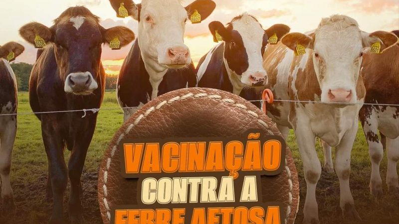 Cerro Corá: Campanha de vacinação contra aftosa continua, confira sua comunidade