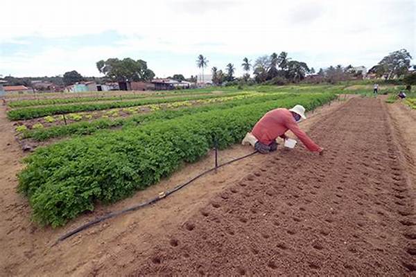 Governo Federal reconhece novo polo de agricultura irrigada no RN