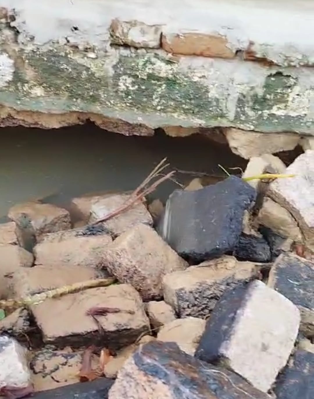 Cerro Corá: Morador da Rua Major Lula Gomes responsabiliza Caern por danos em residência e comercio(Vídeo)